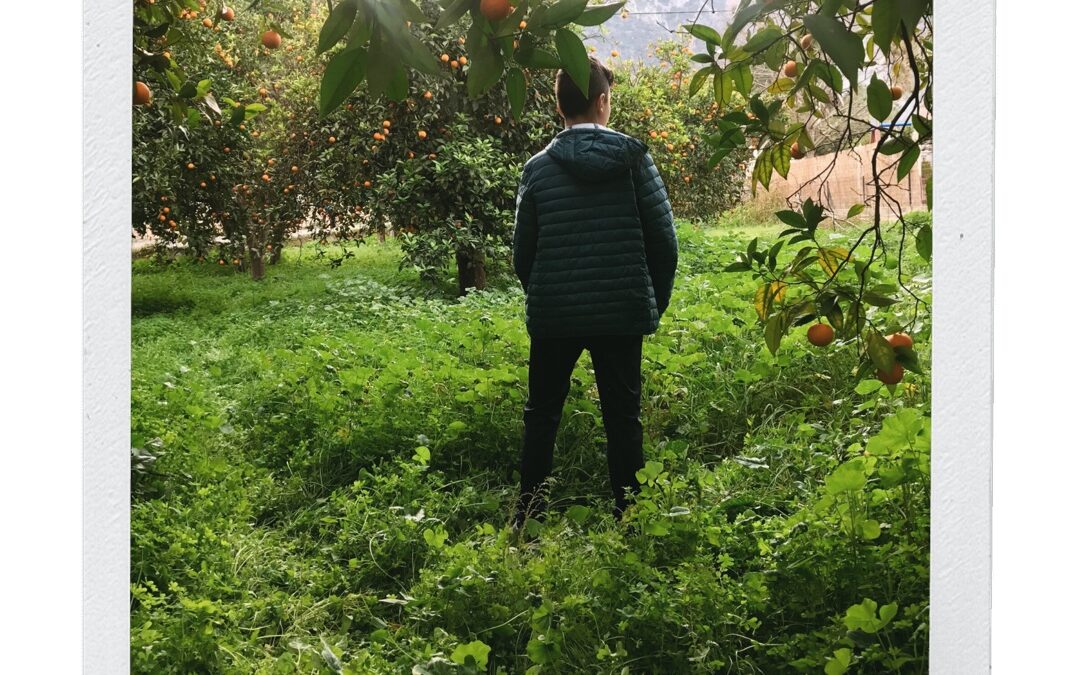 From A Mother’s Perspective