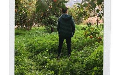 From A Mother’s Perspective