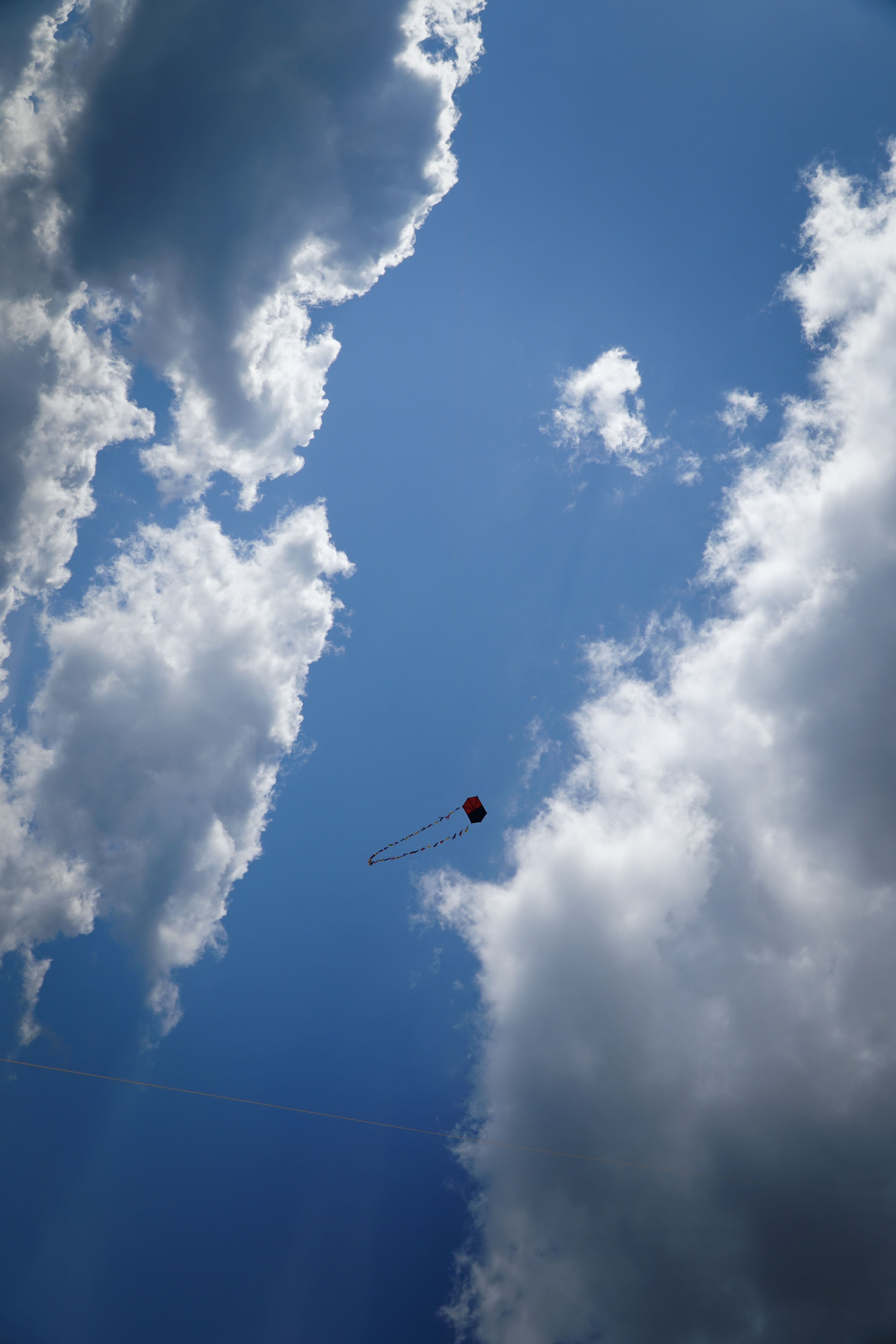 The First Picnic of the Year